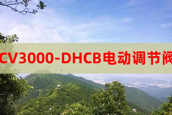 CV3000-DHCB電動調(diào)節(jié)閥