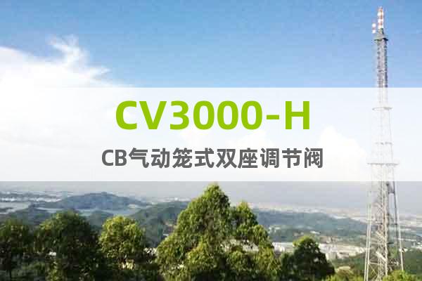 CV3000-HCB氣動籠式雙座調(diào)節(jié)閥