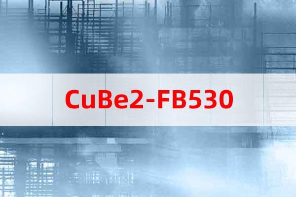CuBe2-FB530