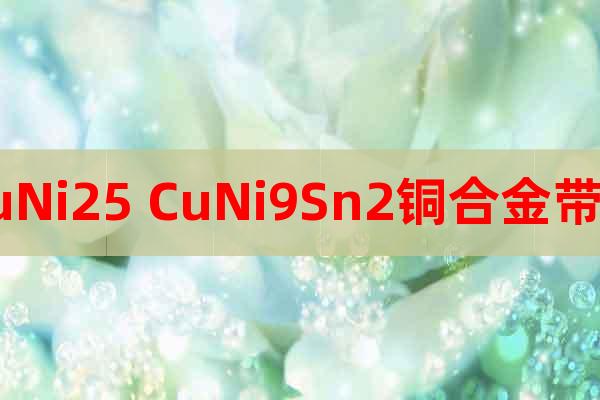 CuNi25 CuNi9Sn2銅合金帶材