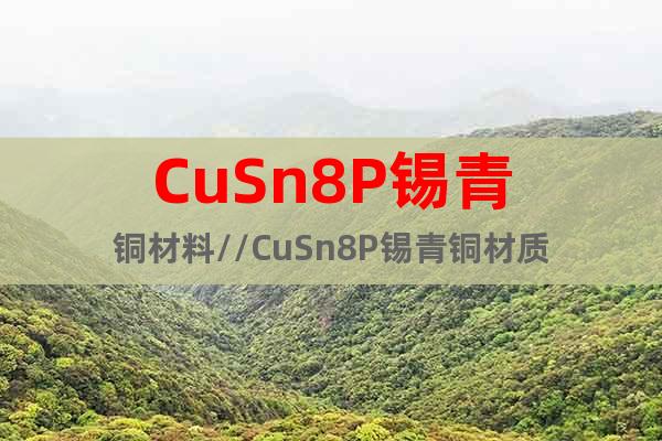 CuSn8P錫青銅材料//CuSn8P錫青銅材質(zhì)