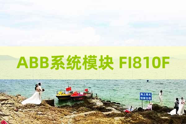 ABB系统模块 FI810F
