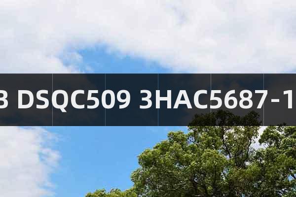 ABB?DSQC509?3HAC5687-1/06?