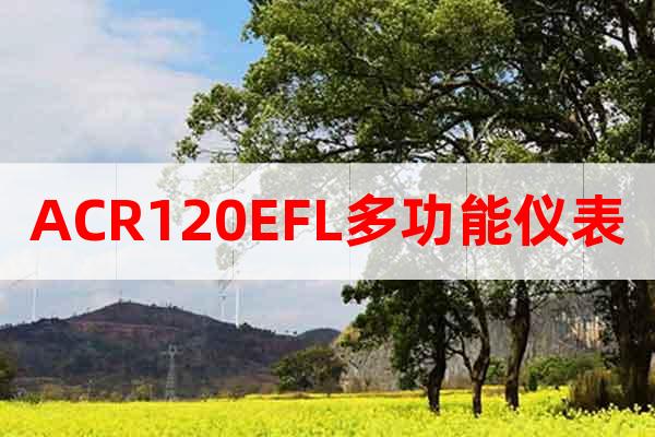 ACR120EFL多功能儀表