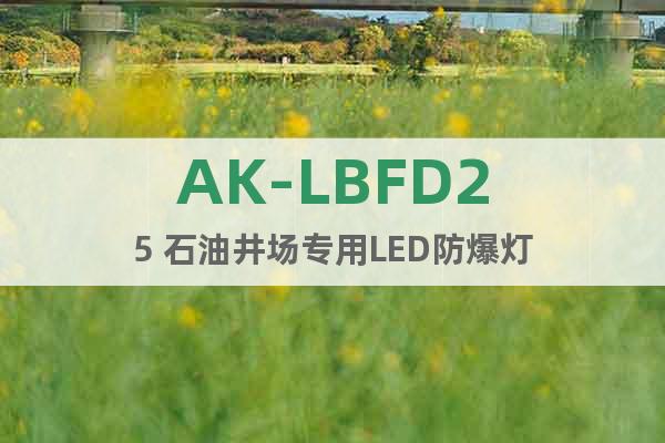 AK-LBFD25 石油井场专用LED防爆灯