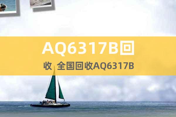 AQ6317B回收  全國回收AQ6317B