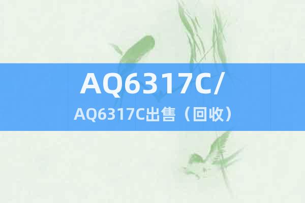 AQ6317C/AQ6317C出售（回收）