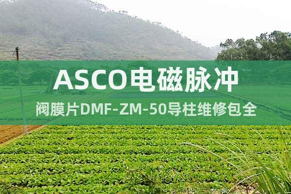 ASCO電磁脈沖閥膜片DMF-ZM-50導(dǎo)柱維修包全套價(jià)格