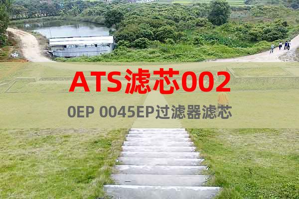 ATS滤芯0020EP 0045EP过滤器滤芯
