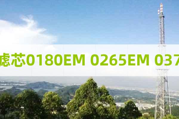 ATS濾芯0180EM 0265EM 0370EM