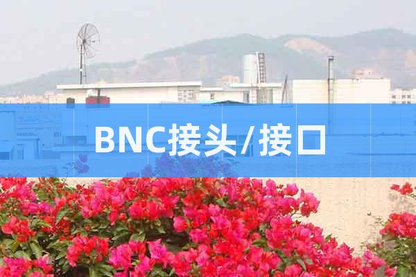 BNC接头/接口