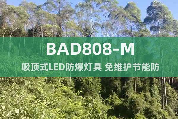 BAD808-M 吸顶式LED防爆灯具 免维护节能防爆灯