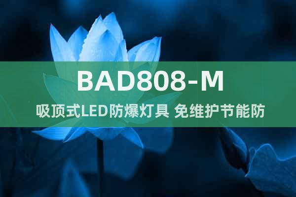 BAD808-M 吸顶式LED防爆灯具 免维护节能防爆灯