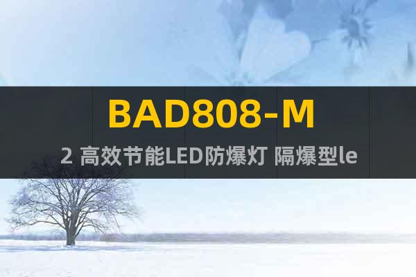 BAD808-M2 高效节能LED防爆灯 隔爆型led防爆灯