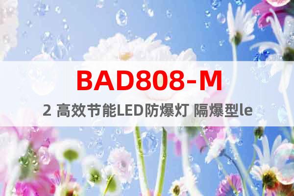 BAD808-M2 高效节能LED防爆灯 隔爆型led防爆灯