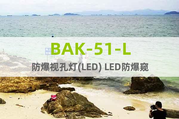 BAK-51-L防爆視孔燈(LED) 	LED防爆窺視孔燈
