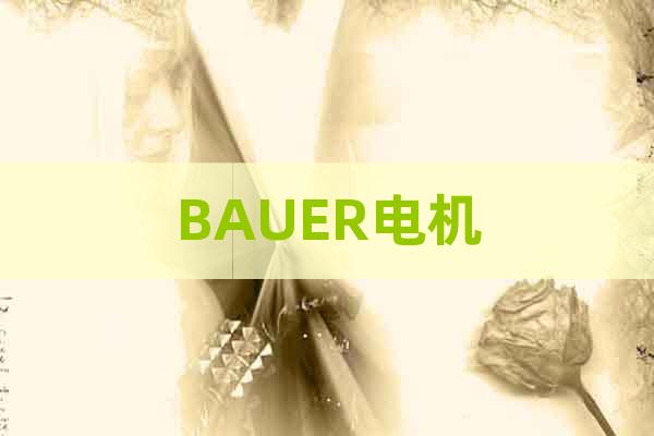 BAUER電機