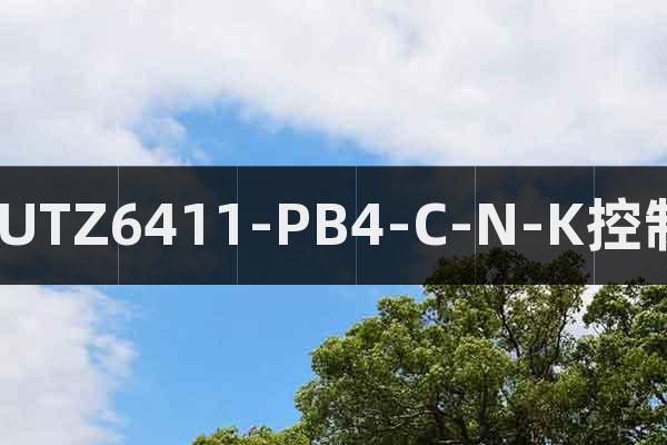 BAUTZ 6411-PB4-C-N-K 控制器