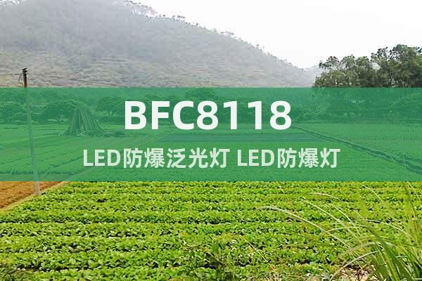 BFC8118 LED防爆泛光灯 LED防爆灯