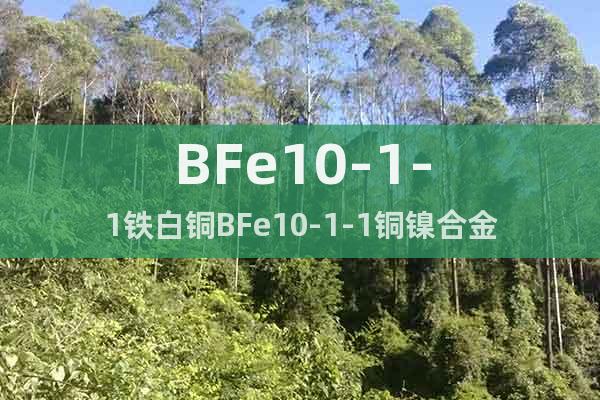 BFe10-1-1鐵白銅BFe10-1-1銅鎳合金