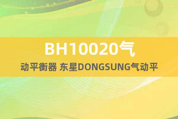 BH10020氣動平衡器 東星DONGSUNG氣動平衡器價格