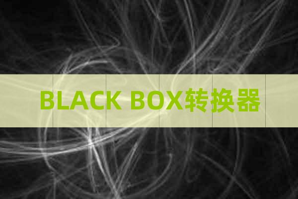 BLACK BOX轉(zhuǎn)換器