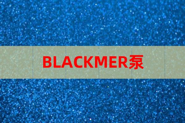 BLACKMER泵
