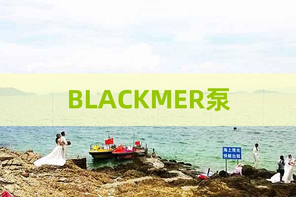 BLACKMER泵