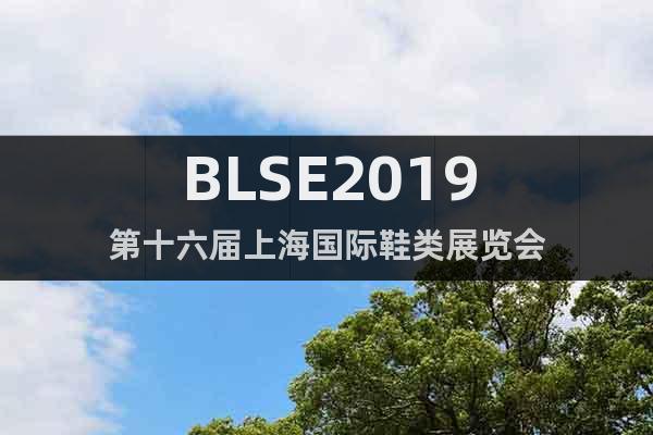 BLSE2019第十六屆上海國際鞋類展覽會