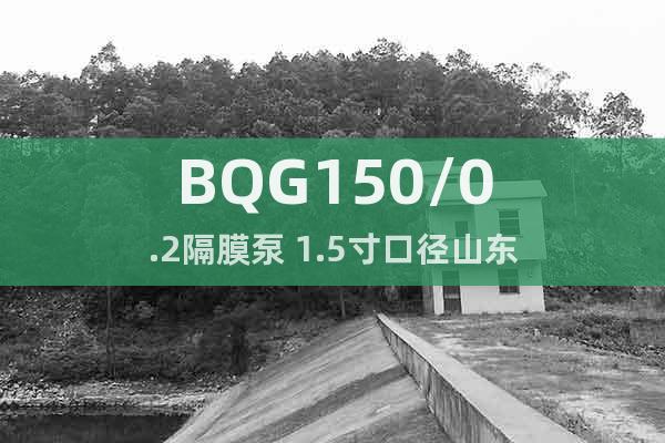 BQG150/0.2隔膜泵 1.5寸口径山东