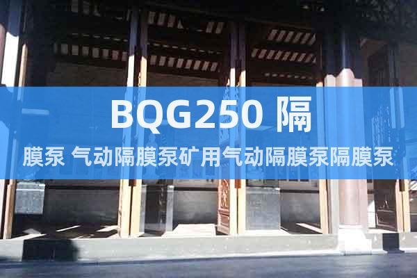 BQG250 隔膜泵 气动隔膜泵矿用气动隔膜泵隔膜泵