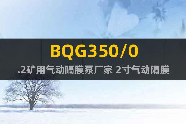 BQG350/0.2矿用气动隔膜泵厂家 2寸气动隔膜泵价格