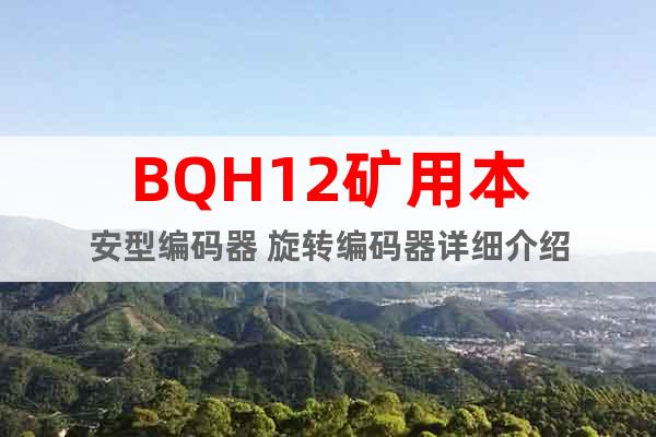 BQH12礦用本安型編碼器 旋轉(zhuǎn)編碼器詳細(xì)介紹