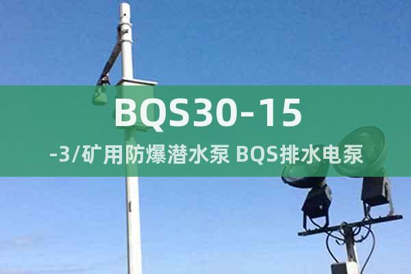 BQS30-15-3/矿用防爆潜水泵 BQS排水电泵技术参数