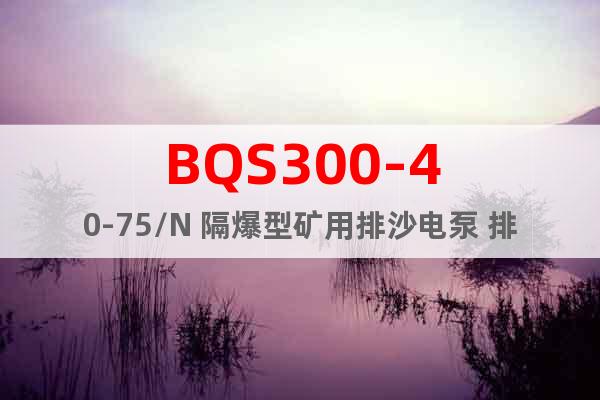 BQS300-40-75/N 隔爆型矿用排沙电泵 排污泵