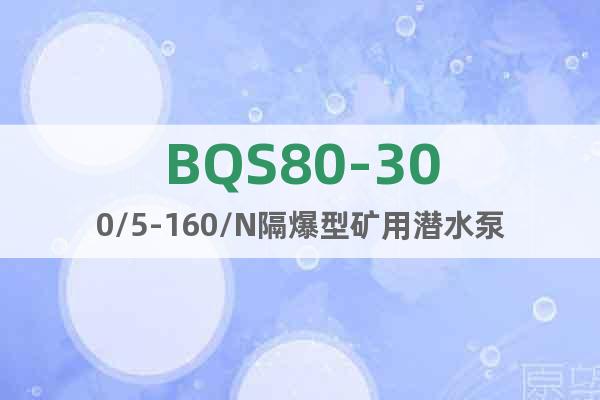 BQS80-300/5-160/N隔爆型矿用潜水泵