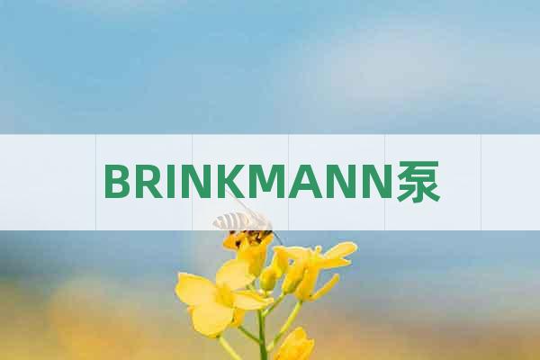 BRINKMANN泵