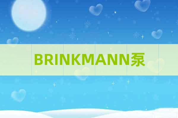 BRINKMANN泵