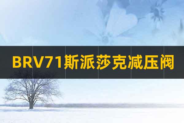 BRV71斯派莎克減壓閥