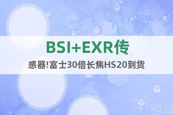 BSI+EXR传感器!富士30倍长焦HS20到货