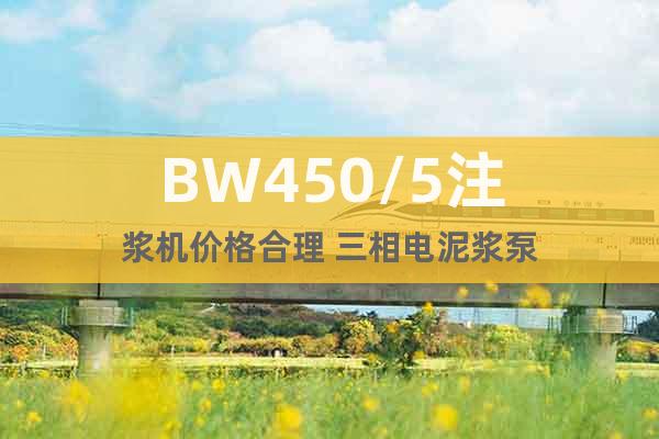 BW450/5注浆机价格合理 三相电泥浆泵
