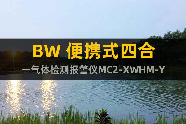 BW 便携式四合一气体检测报警仪MC2-XWHM-Y-CN