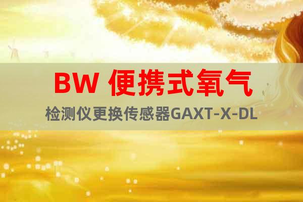 BW 便携式氧气检测仪更换传感器GAXT-X-DL