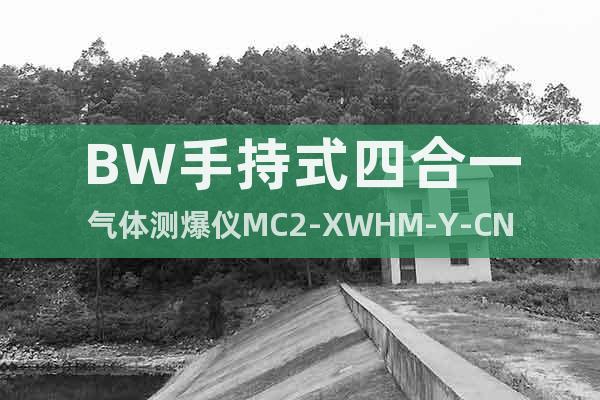 BW手持式四合一气体测爆仪MC2-XWHM-Y-CN