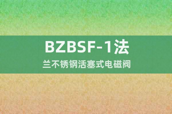 BZBSF-1法兰不锈钢活塞式电磁阀