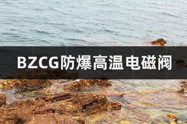 BZCG防爆高溫電磁閥