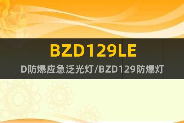 BZD129LED防爆应急泛光灯/BZD129防爆灯