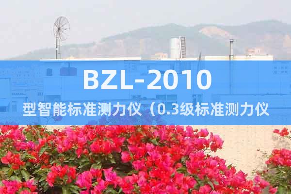 BZL-2010型智能标准测力仪（0.3级标准测力仪）
