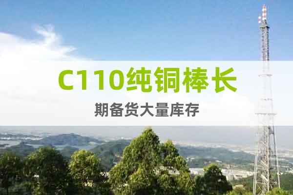 C110純銅棒長期備貨大量庫存