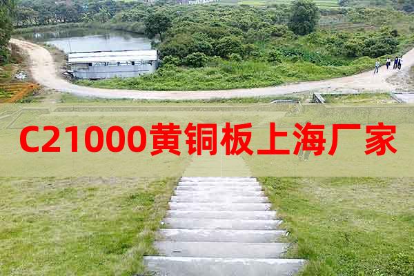 C21000黃銅板上海廠家